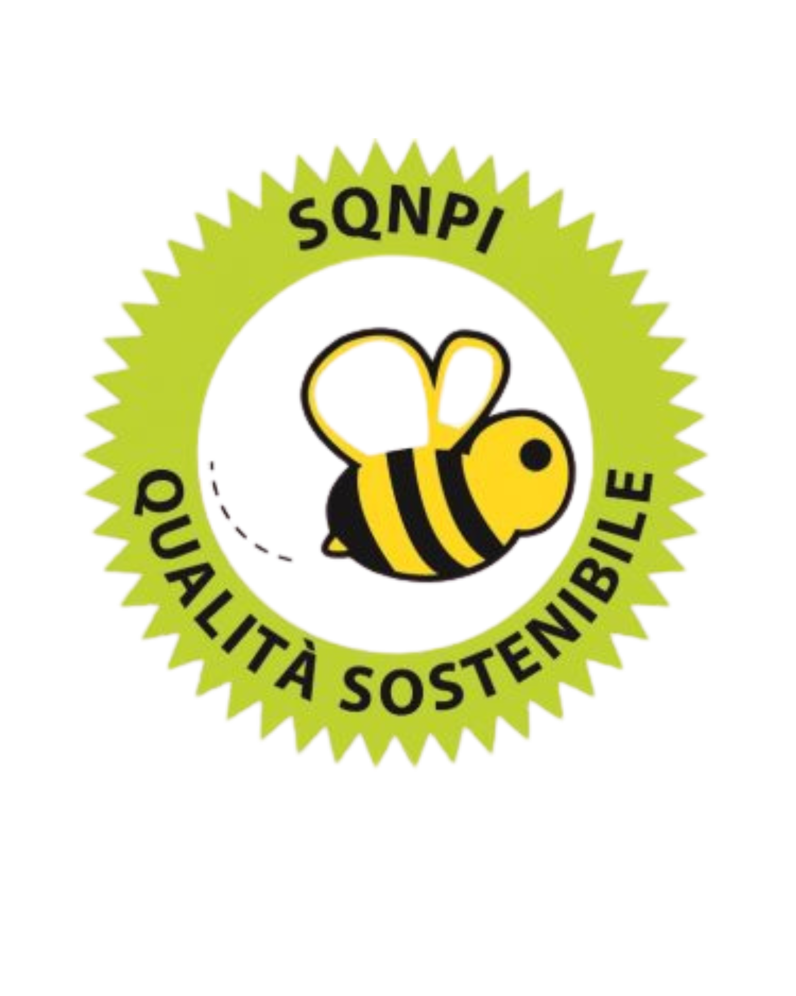 sqnpi-logo